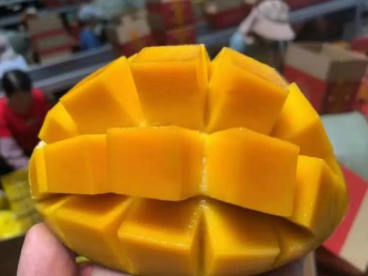 â�����_�ű���ڶ���߀�ܳԆ᣿ʲô�˲��m�ϳ�â��