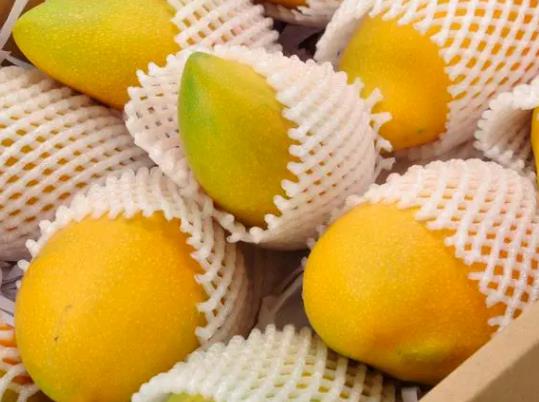 â����ô������ě]����â��������ʲô����