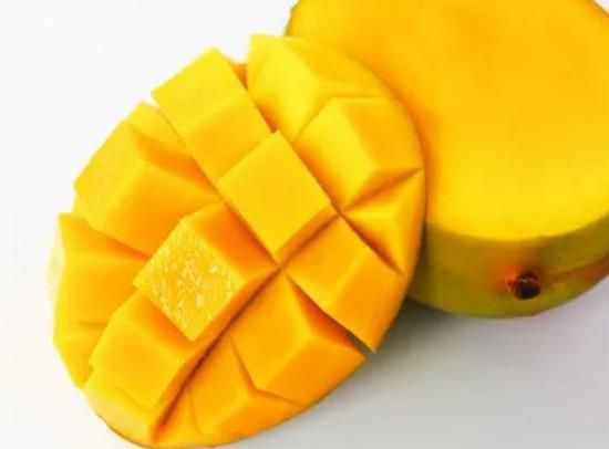 â��������ô�k�����\��20��â���܎����w�C��