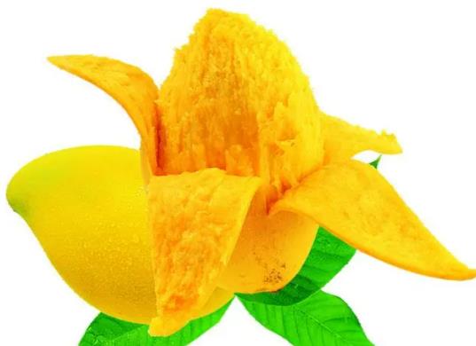 â��������ô�k�����\��20��â���܎����w�C��