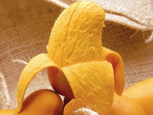 â��������ô�k�����\��20��â���܎����w�C��