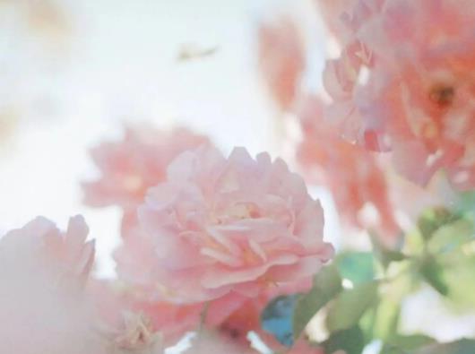 ���ֻ��@�Ļ��ķN�ɫ�ÿ������ֻ��@�Ļ��N�ò����Q�����^�m(x��)�N��