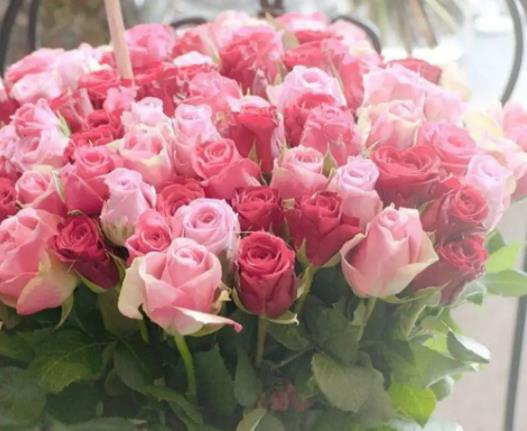 ���ֻ��@�Ļ���ʲô���ӣ����ֻ��@�Ļ��N�ò����Q���Դ�Ŷ��