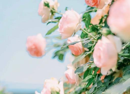 ���ַN�����g�܃��Q�״������ַN���l؛�������յ�