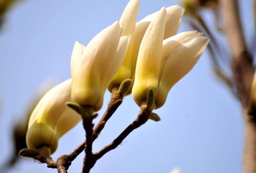 ���ַN�Ļ���ÿ����I�����������M�I�������߀�Ǽٵ�