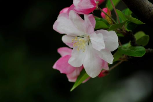 �������M�I������Ɇ᣿���ַN��ֵ�Å��ӆ�