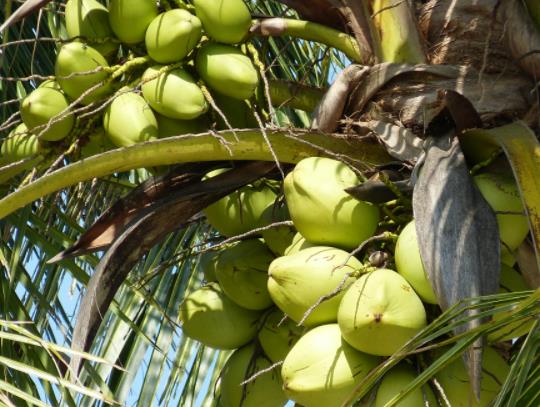 �_�˿ڵ�Ҭ��ˮ���Եڶ���Ȇ᣿׃�|Ҭ��ˮ���˕�����