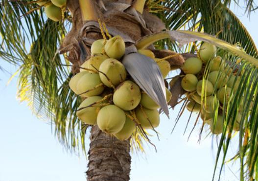 �_�˿ڵ�Ҭ��ˮ���Եڶ���Ȇ᣿׃�|Ҭ��ˮ���˕�����