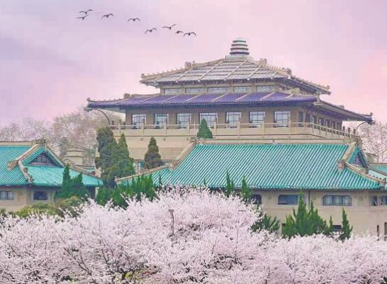 ��һȥ��h��W(xu��)����·܇����h���·ݽ�(j��ng)�������