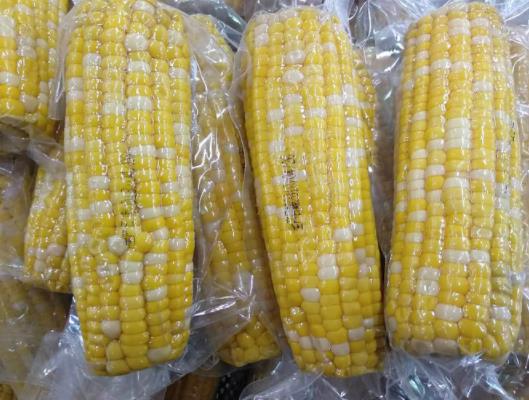 ������נI�B��Õ���ʧ����������к���