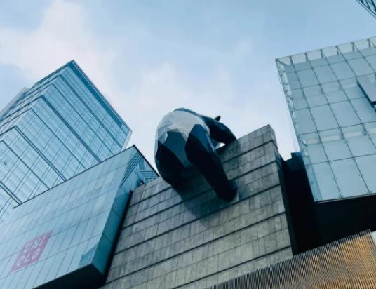 �ɶ����·���᣿�ɶ���������߀�������