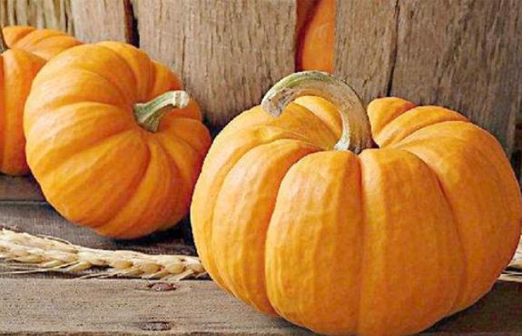 �Ϲϵğ����߆᣿���ϹϿ��Ԝp�ʆ᣿