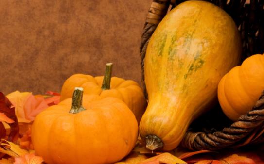 �ϹϺ������߆������򲡻��߿��Գ��Ϲφ᣿