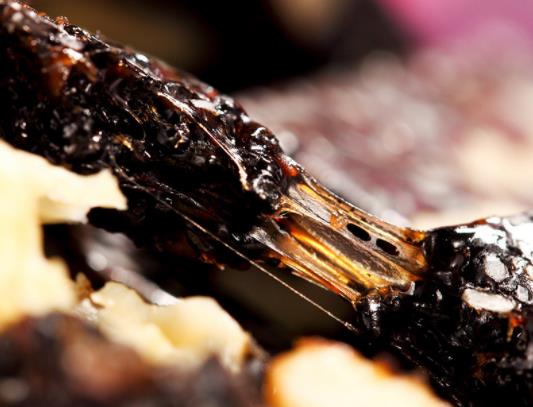 һ��ˎ���I�İ��z�|(zh��)����ô�ӣ�1988��İ��z���u49�f��ļٵ�