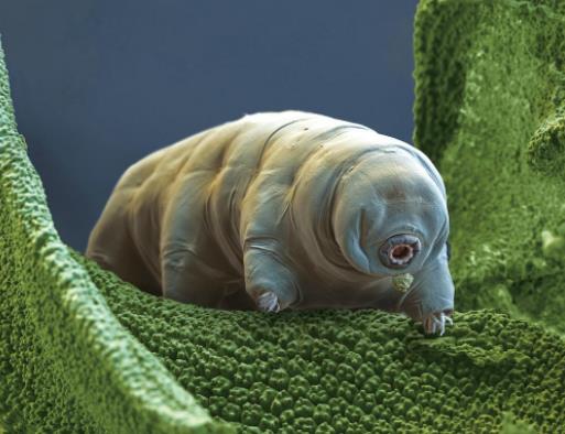 ˮ���x�������Ć᣿��ʲôˮ���x��һ�¾�����