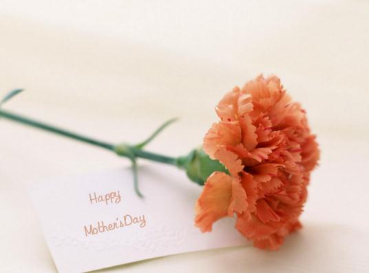 ĸ�H���o�����ʂ�ʲô�ã�ĸ�H����ʲô��Ҫ�����x