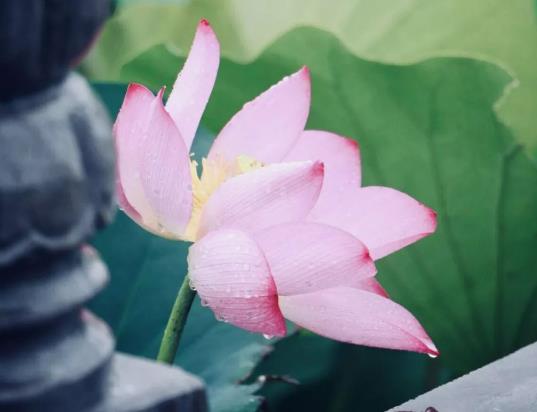 2023�������^���ǲ����_ʼ�����ˣ�2023�������^����c����