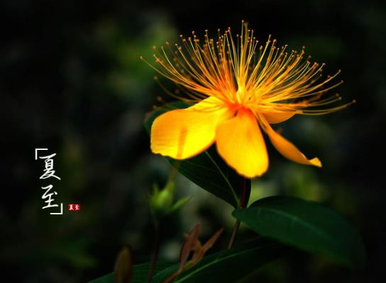 �����^���������Щ׃���������^�����׃�L�ˆ�