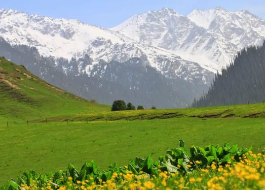 �½�6�µ������ô�ӣ�6��ȥ�½�Ҫ��(zh��n)��Щɶ