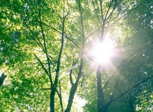 ������һ����ٶ���2023����������ꖷ���߀��ꎷ���