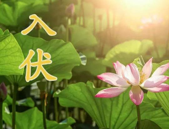 2023����������30��߀��40�죿2023�����������Ď���