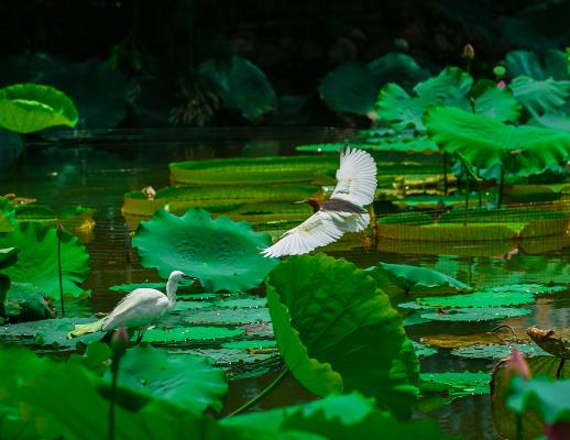 2023��������ߜض����_�����٣�����ܟ��ʲô����