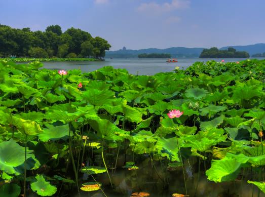 ����ܟ���ʲô����ĺ÷�����2023�������������Ď���