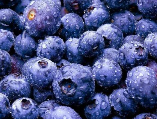 �{ݮ�ű���Ҫ�ű��r������᣿�{ݮ�ڱ�����ŰT����ô�k