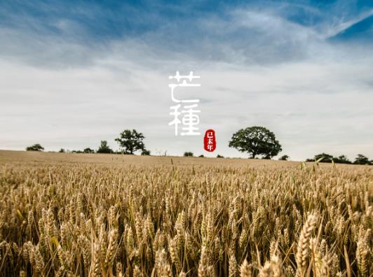 â�N�N�޻���᣿2023��â�Nʲô�r���m�ϳ���