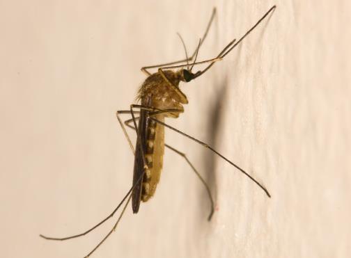 �T���o�]�s��ԴԴ�����������ô���£��·��Ӻö������ǲ��ǲ���