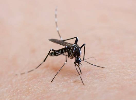 �T���o�]�s��ԴԴ�����������ô���£��·��Ӻö������ǲ��ǲ���