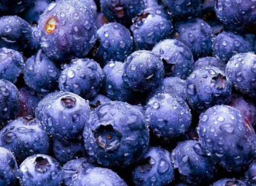 ���{ݮ���׃��߀���^�m�Ԇ᣿ϴ�{ݮ��ʲô��Щ������