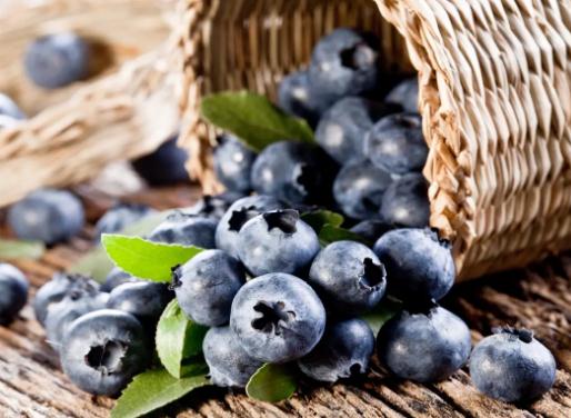 ���{ݮ����Ǽtɫ�������������{ݮ�����ī�Gɫ������