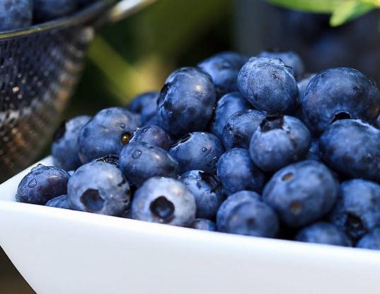 �{ݮ��ô�Ԍ��۾��ã��{ݮ�Զ��˕�����