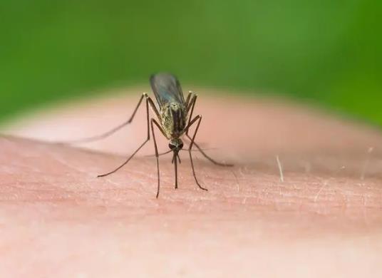 ���g�������Լ�������ʲô��r������]���������ܻ��