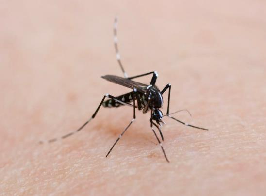 ����������ӕ�(hu��)��Ȼ���᣿�����ڛ](m��i)���˵ķ��g��Õ�(hu��)��