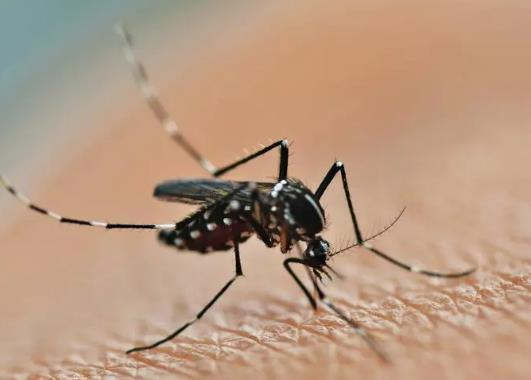 ����������ӕ�(hu��)��Ȼ���᣿�����ڛ](m��i)���˵ķ��g��Õ�(hu��)��