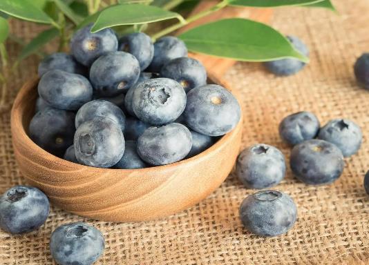 �{ݮܛſſ���ǉĵ��ˆ᣿�{ݮ�ß�ˮϴ���ɫ׃��߀�ܳԆ�