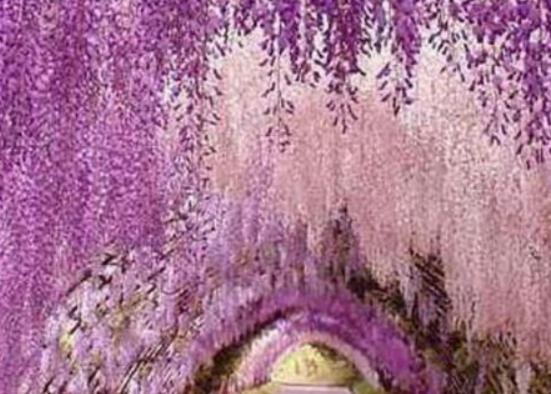 �������S���_ه�Rɽ���������ٲ�