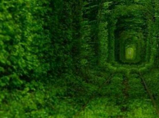 �������S���_ه�Rɽ���������ٲ�