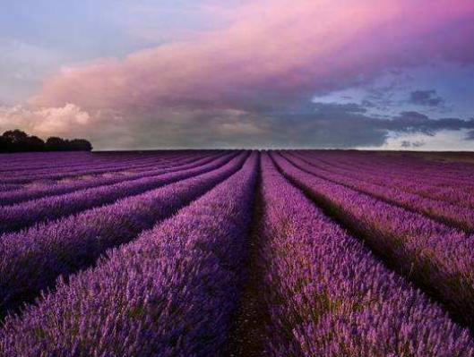 ����ʮ�����α�ȥ�ľ��c����կ�Ϻ��L�⡢̩�������´��ֺ�