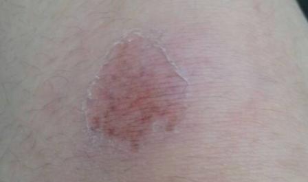 ˤ����ʲôˎ��ˤ���[����ô��Ч̎��