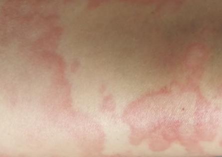 ���Ƃ��L�^����ô�k ���Ƃ��L��^����ʲôˎ