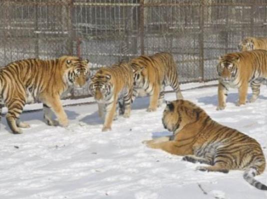 �����I���ξ��c�����������I�������а���vʷ�������I�O���^�܉��^