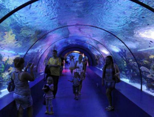 ȫ��ʮ�����^�����������m��Georgia Aquarium���Z�����۷ǳ�����