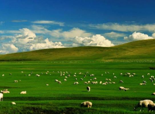 ��(n��i)�ɹ�ʮ���ȥ���c���ɳ��ɳĮ���������ˡ���������ˮ�峺Ҋ��