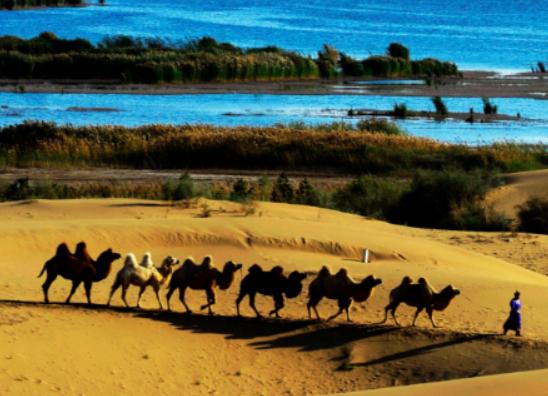 ��(n��i)�ɹ�ʮ���ȥ���c���ɳ��ɳĮ���������ˡ���������ˮ�峺Ҋ��