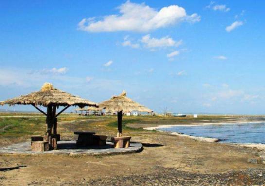 ��(n��i)�ɹ�ʮ���ȥ���c���ɳ��ɳĮ���������ˡ���������ˮ�峺Ҋ��