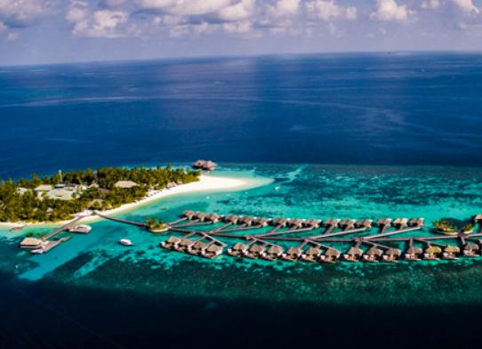 ȫ��ʮ�������u�Z���а�ϣ�Dʥ������u�ǳ�M�������ͯԒ����