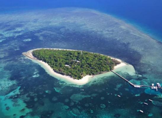 ȫ��ʮ�������u�Z���а�ϣ�Dʥ������u�ǳ�M�������ͯԒ����